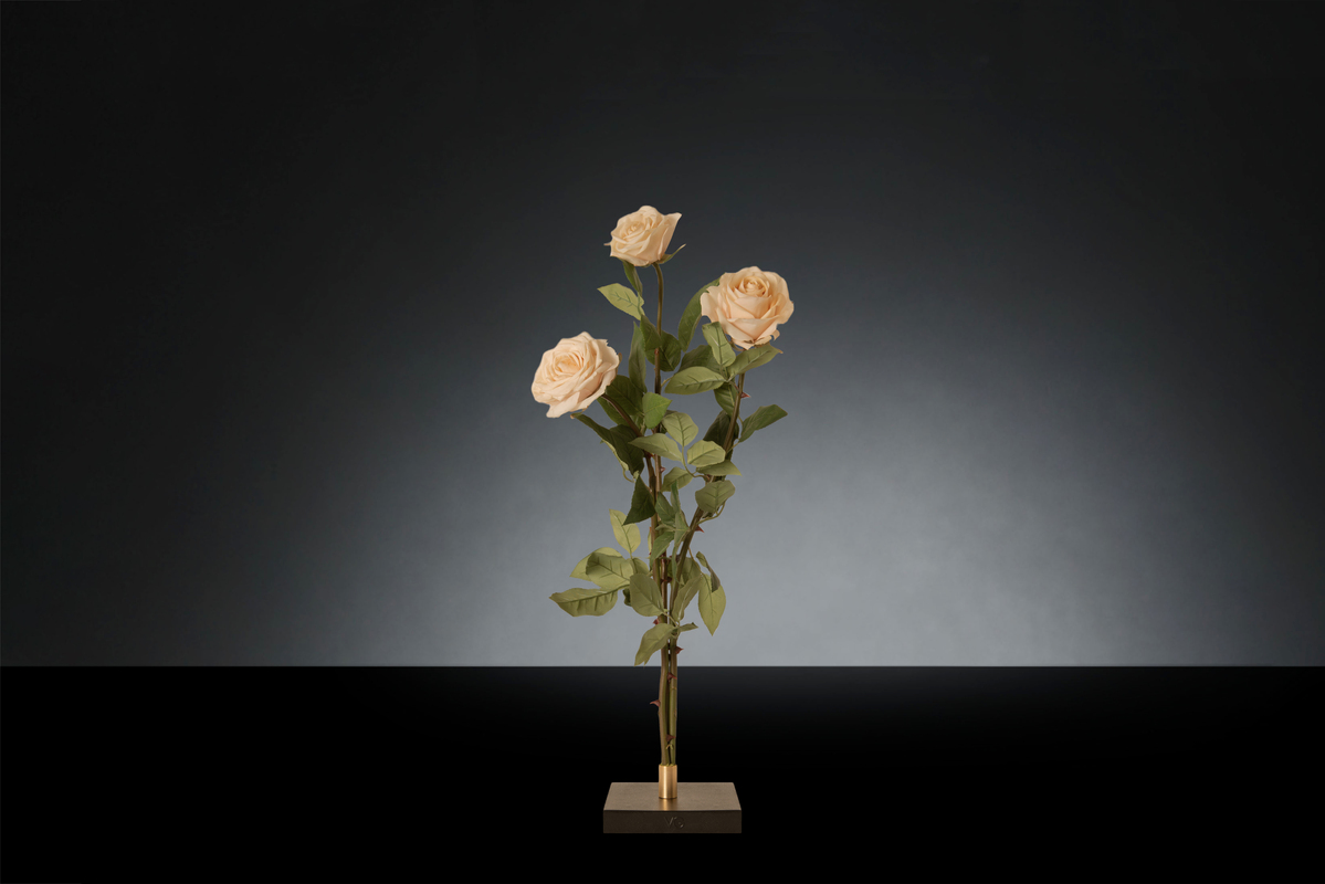 1700219975-1142915.96 ROSA FRAGRANCE_2LOW